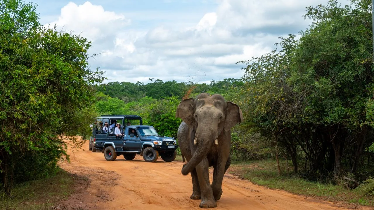 Sri Lanka – 10-day discovery tour of Sri Lanka's historical and scenic wonders