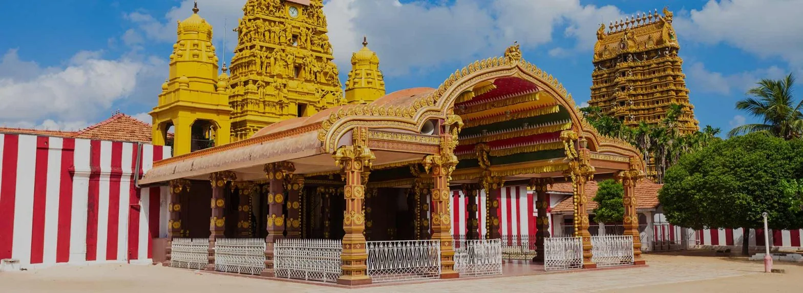 Sri Lanka – 10-day luxury tour in Sri Lanka