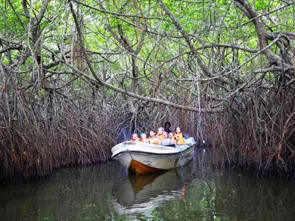 Båtsafari på Madu Ganga