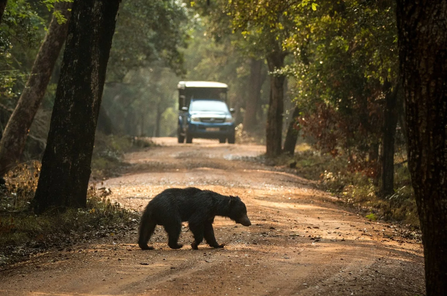 Safari in Yala